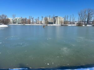 1f2d6dd3-75da-4156-9794-e8b222be8d32-300x225 Finanțare semnată pentru reconfigurarea Parcului Chindia și a Grădinii Zoologice din Târgoviște