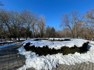 3f71cd48-9c30-482e-b5f1-2d74bdab1df2-300x225 Finanțare semnată pentru reconfigurarea Parcului Chindia și a Grădinii Zoologice din Târgoviște