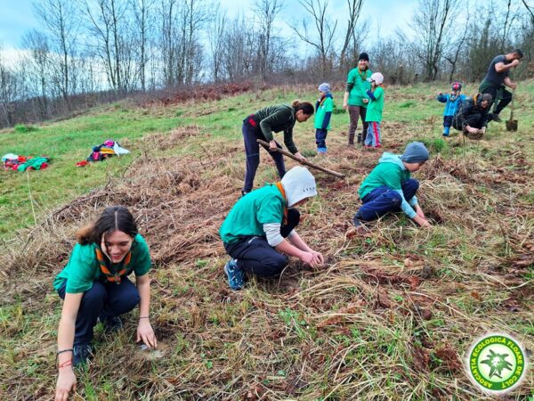 Diapozitiv230-600x450 140 de elevi și profesori au plecat în drumeție în Munții Bucegi cu Asociația Ecologică Floare de Colț