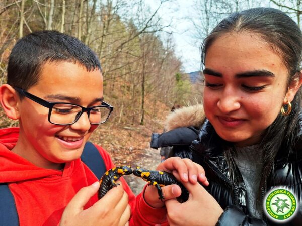 Diapozitiv25-1-600x450 140 de elevi și profesori au plecat în drumeție în Munții Bucegi cu Asociația Ecologică Floare de Colț