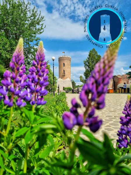 foto1-450x600 Muzeele Complexului Național Muzeal „Curtea Domnească” Târgoviște vor fi deschise în perioada 10 - 13 aprilie 2026!